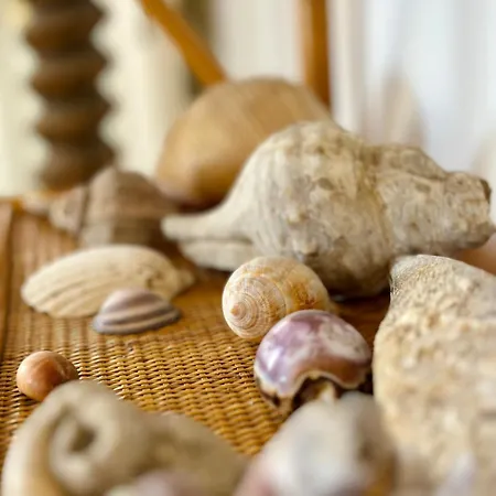 La Terrazza Sul Mare * Παλέρμο